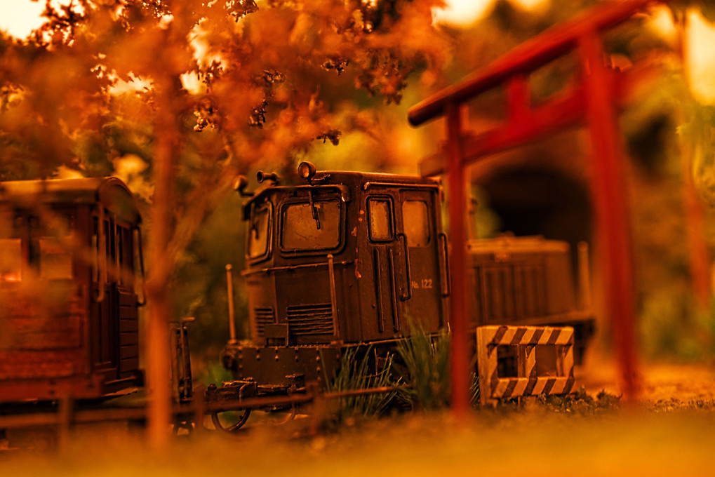 秋の夕暮れ＿Sofa Forest Railway