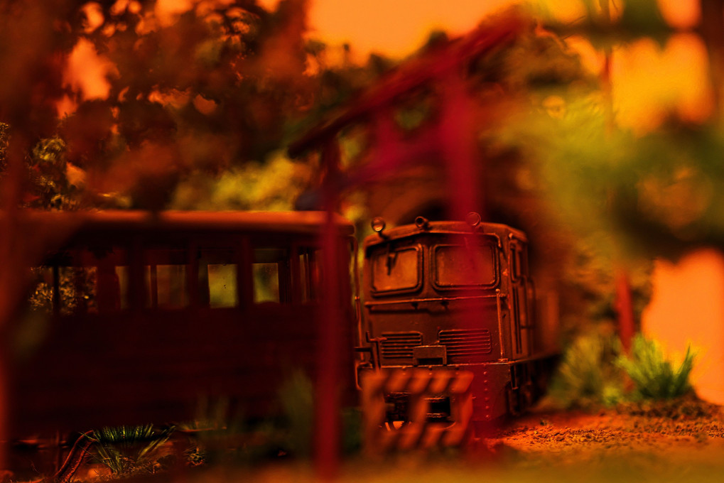 秋の夕暮れ＿Sofa Forest Railway
