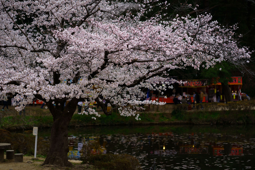 岩槻城址公園