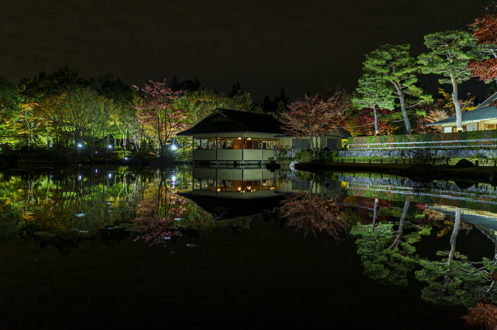 日本庭園夜