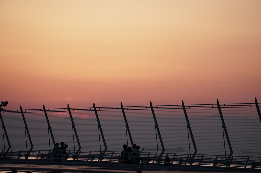 空港の夕景