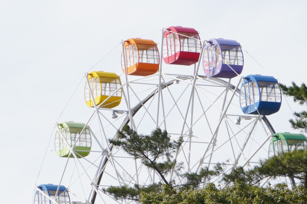 Colorful Ferris Wheel