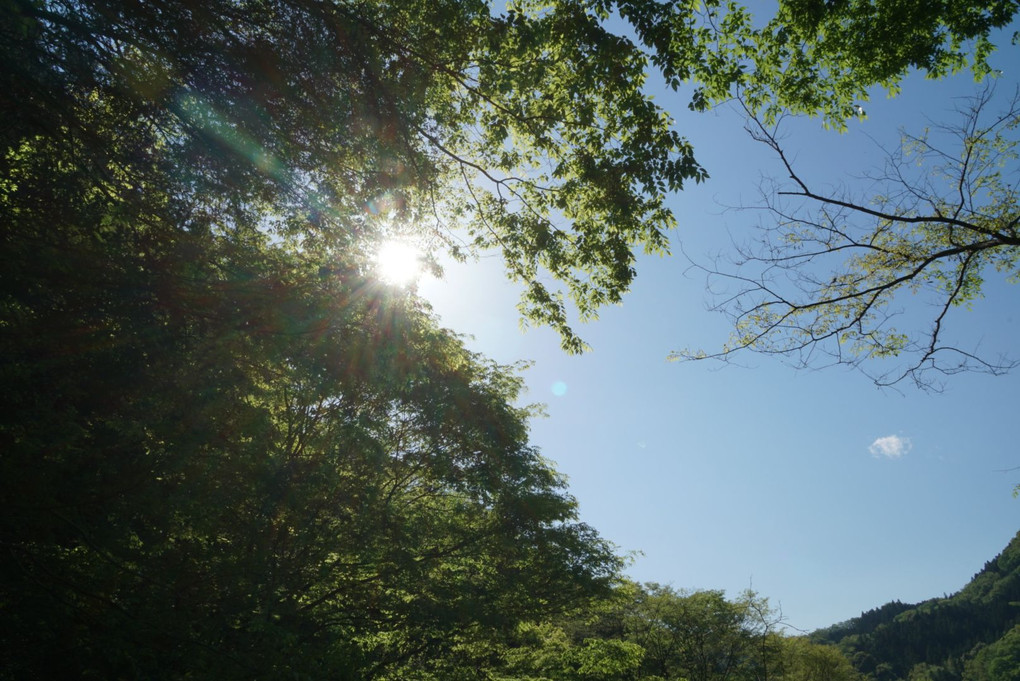 茨城県 袋田の滝