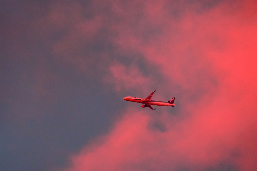 空染まる