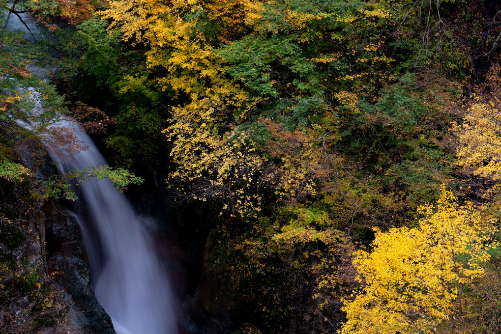 滝と黄葉