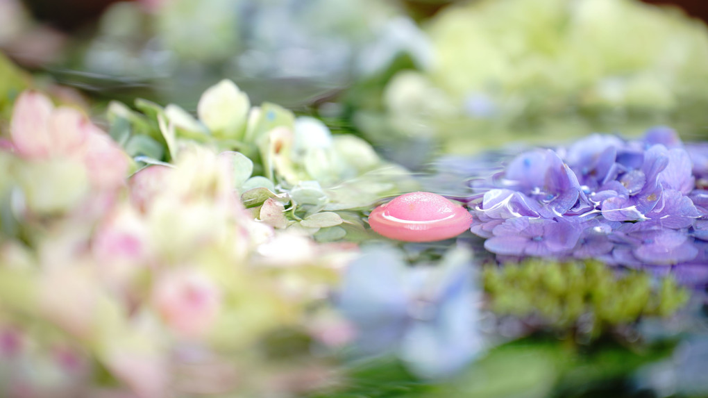 前玉神社～花手水とアイドル達(⌒∇⌒)～