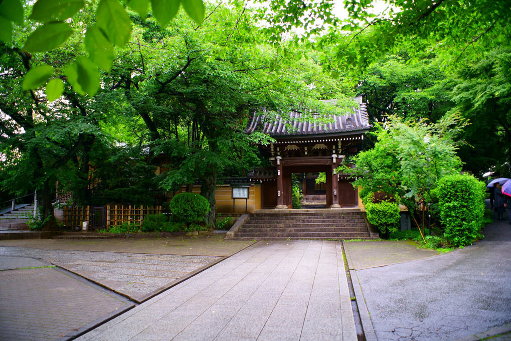 雨のお寺