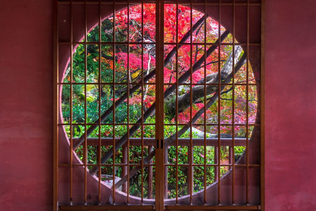 秋の日本庭園 Ⅱ