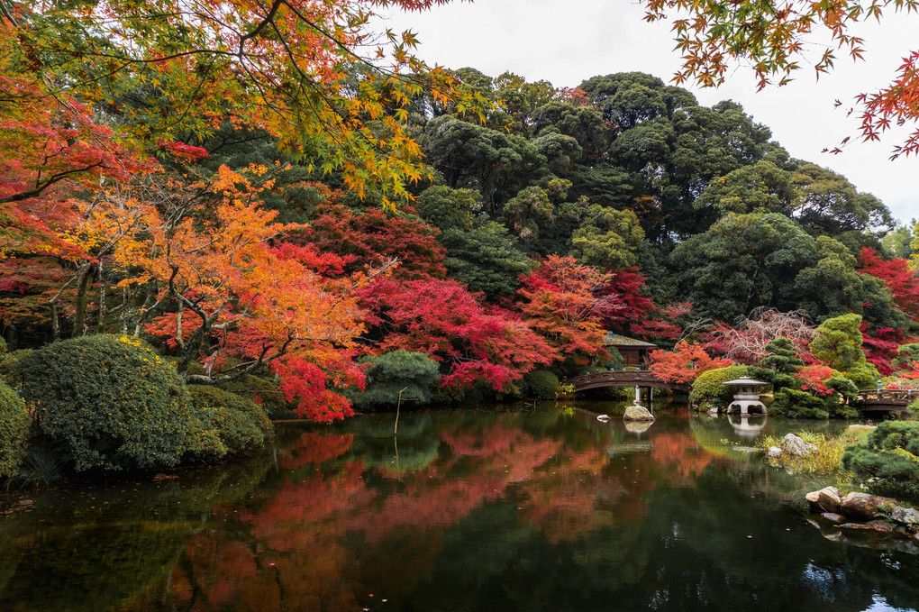 秋の日本庭園 Ⅱ