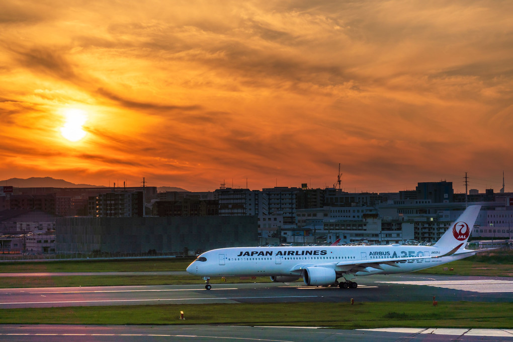 秋の夕暮れと AIRBUS A350