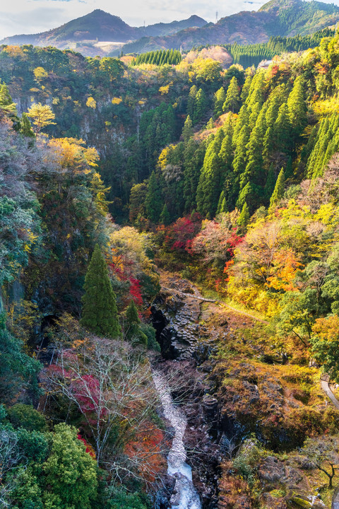 渓谷の朝