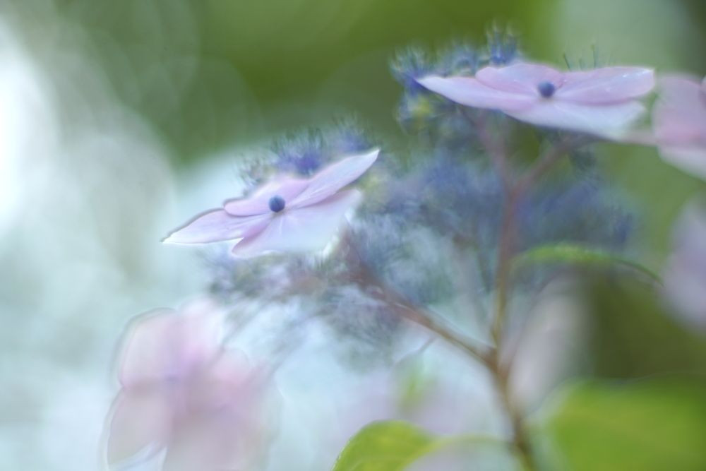 梅雨の前に