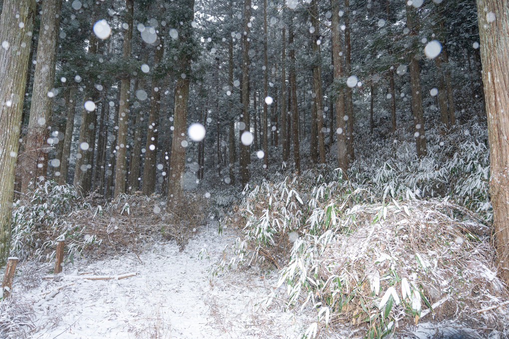 冬の高野山