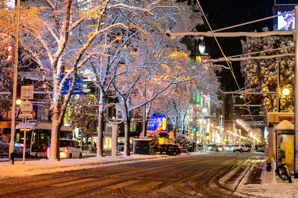 雪の札幌大通り