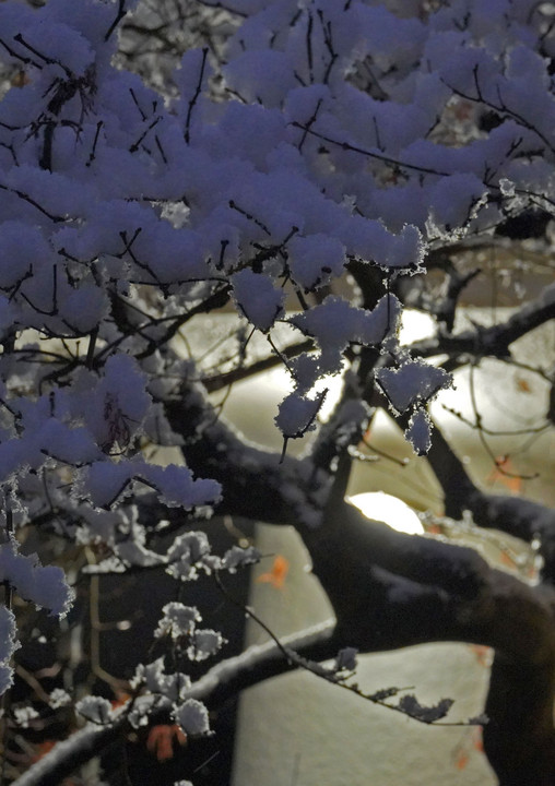 雪が降った帰り道　(*"ー"*)ﾌﾌｯ♪ 