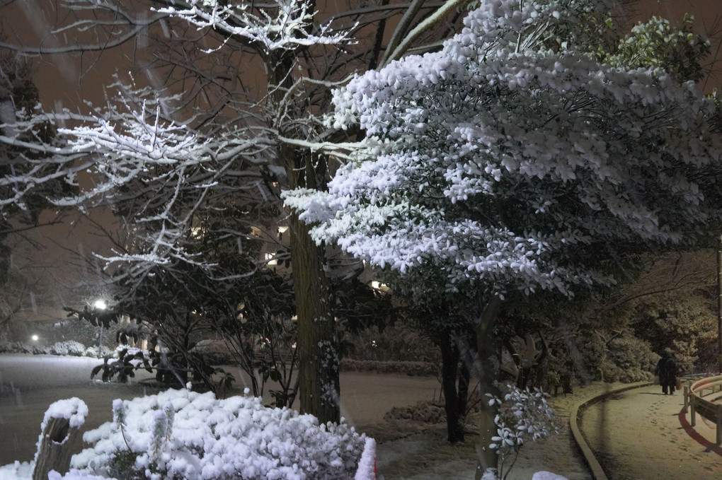 雪が降った帰り道　(*"ー"*)ﾌﾌｯ♪ 