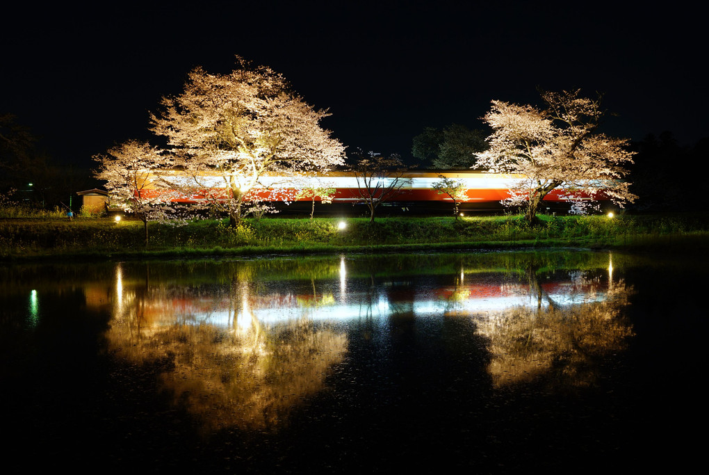 夜桜の駅２