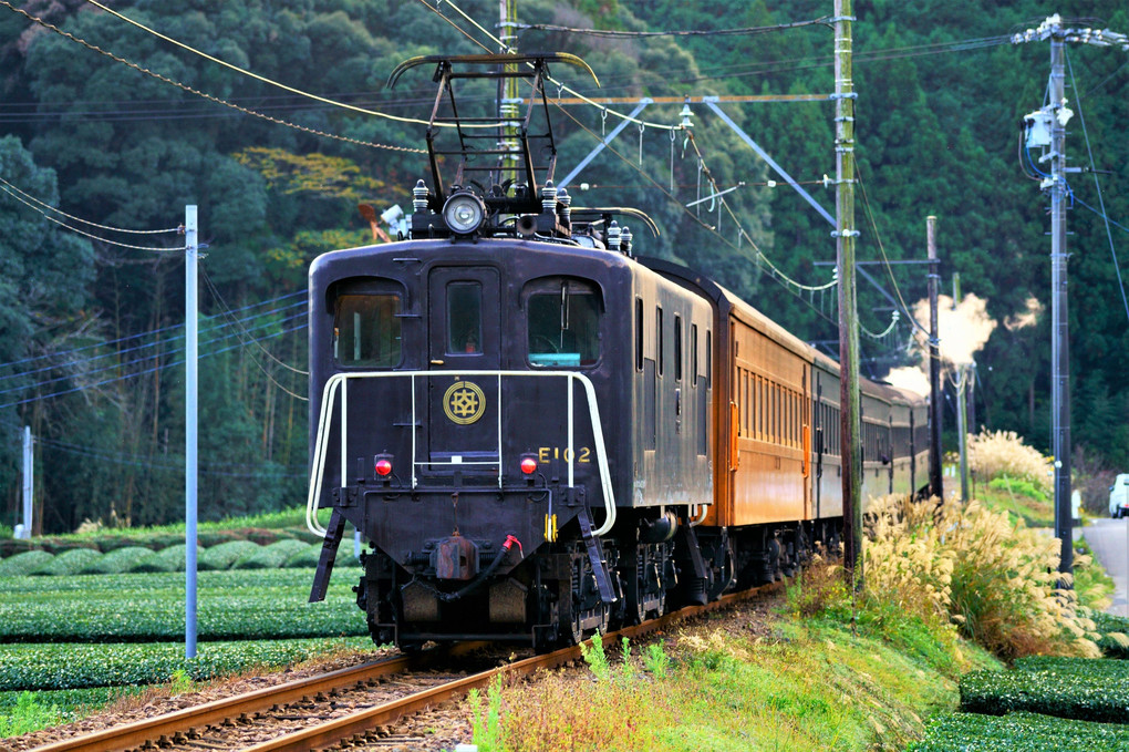 大井川鉄道・E101.E102.電気機関車が抜里を走る