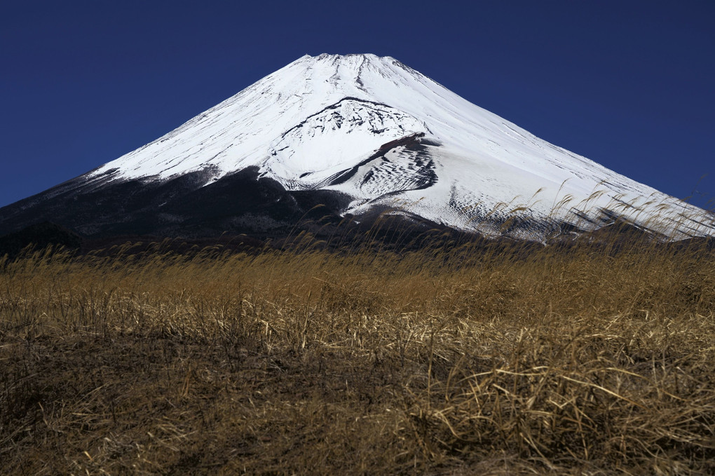 「富楽百景」その18・荒れ野の富士