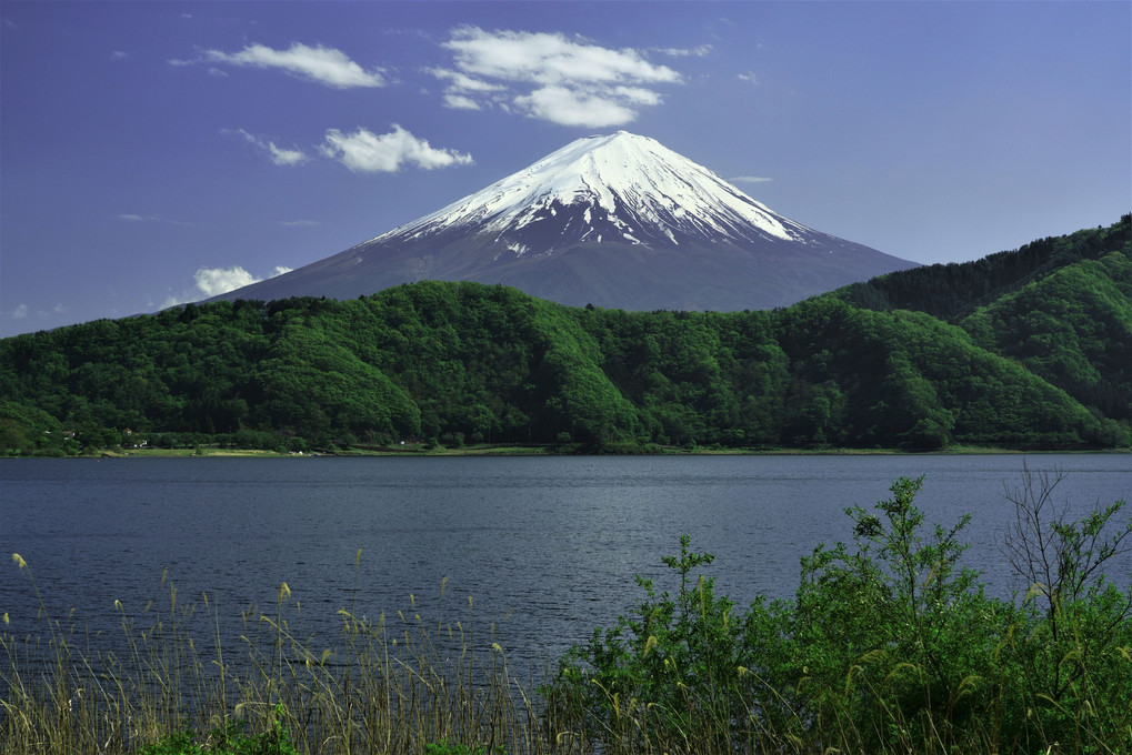 富楽百景・その20「西湖の富士」