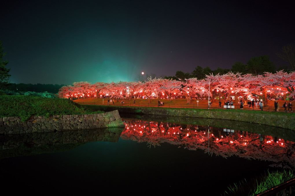 五稜郭の夜桜