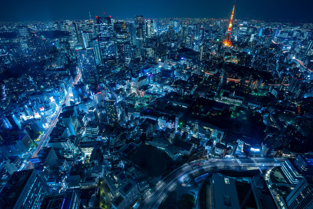 Blue Night Tokyo