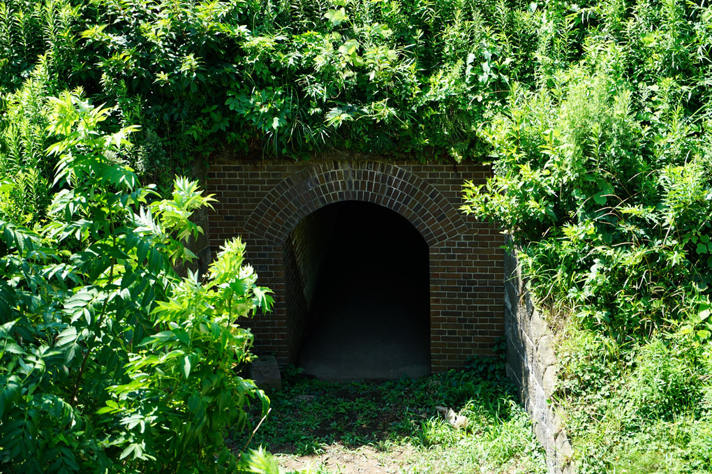 タイムトンネル