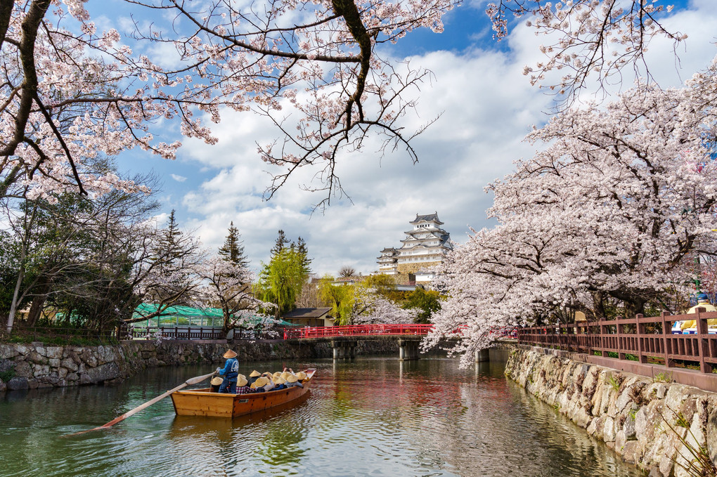 桜と城と和船