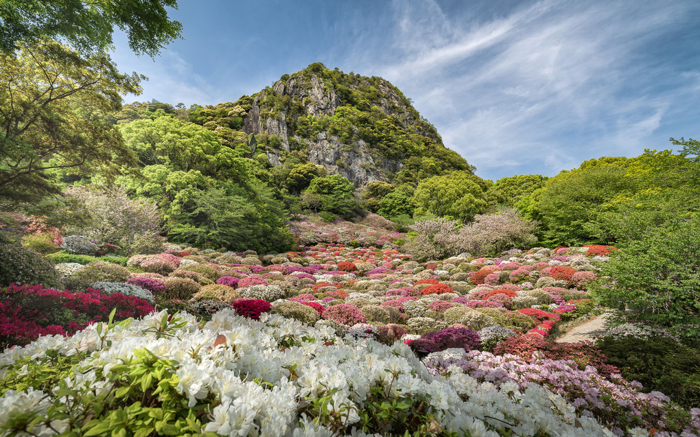 御船山楽園-ツツジの園-