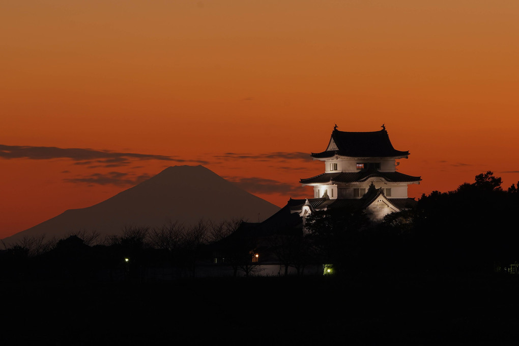 日本の美