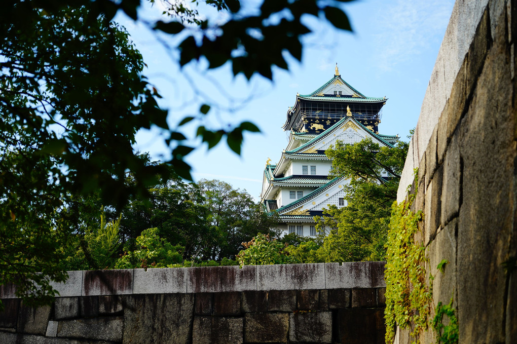 散歩に最適な大阪城公園！