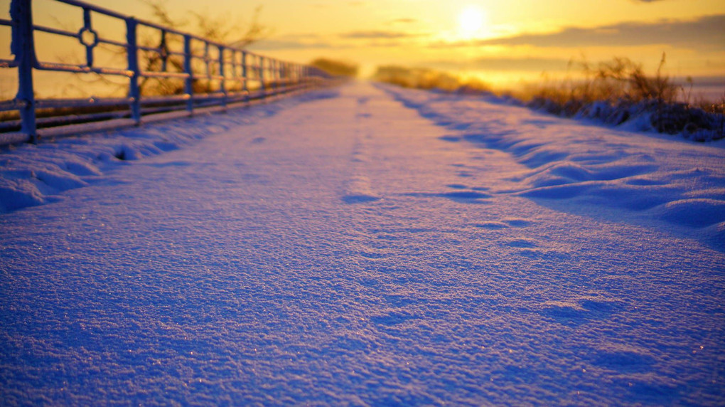 黎明の雪路