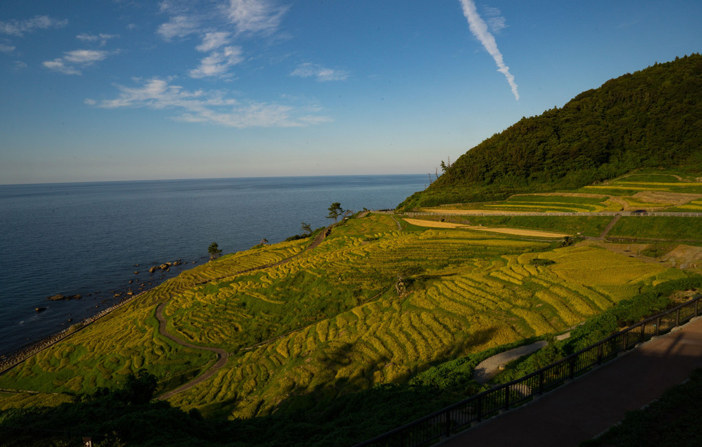 白米千枚田　能登半島