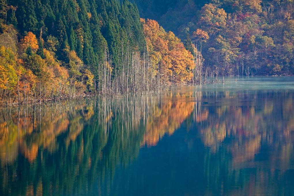 ダム湖の秋