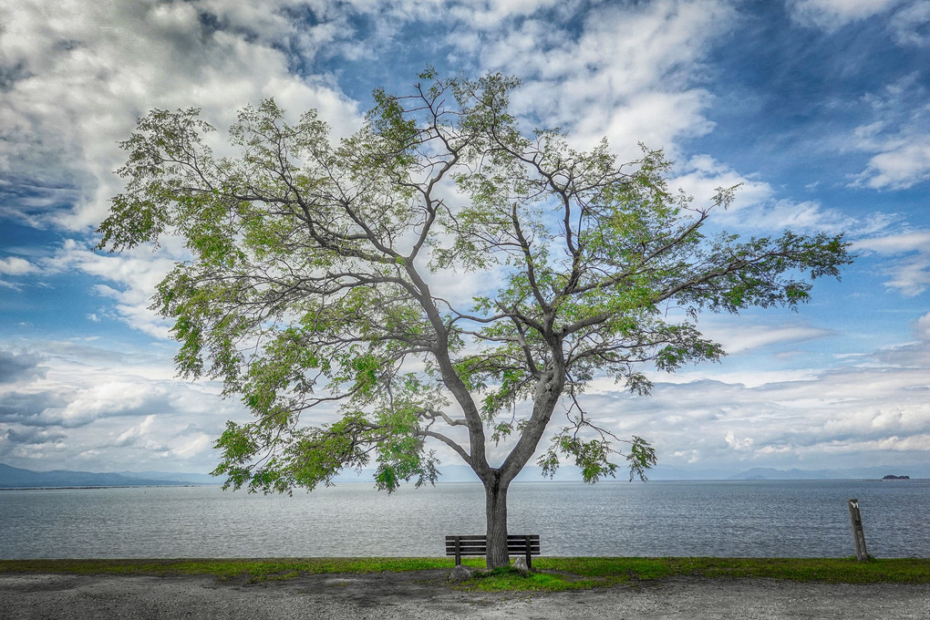 琵琶湖「あのベンチ」
