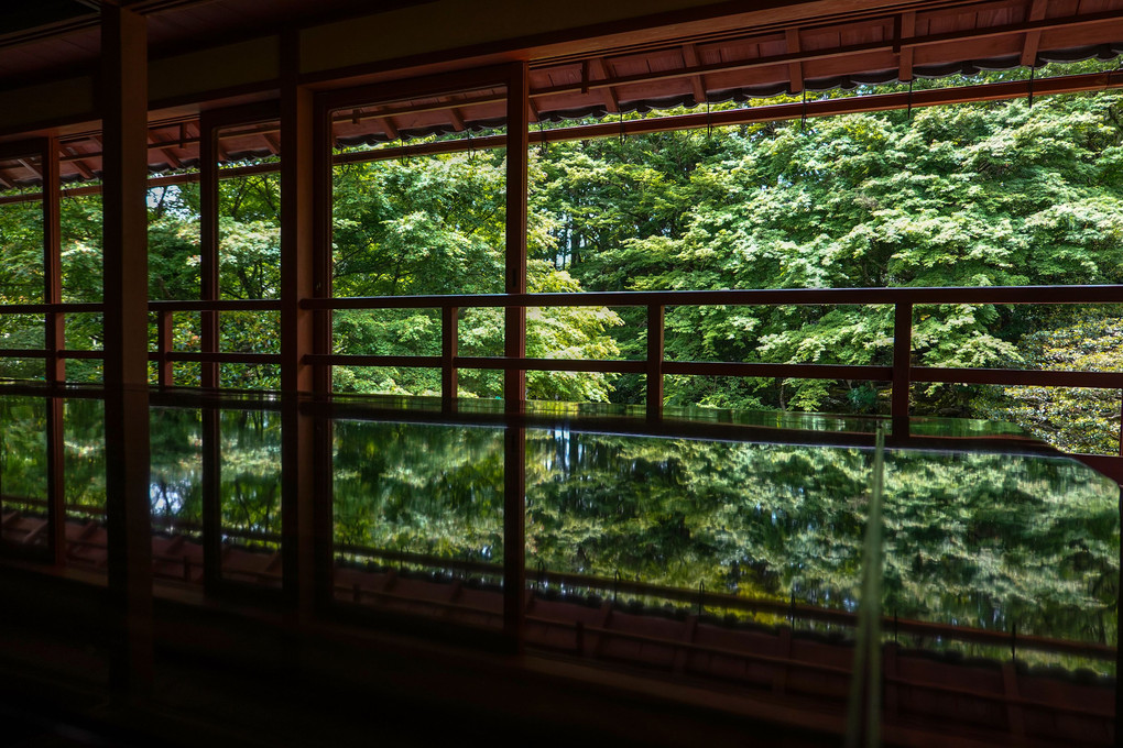 新緑竹林院