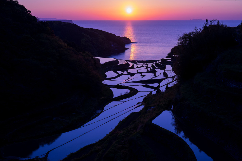 棚田の夕暮れ