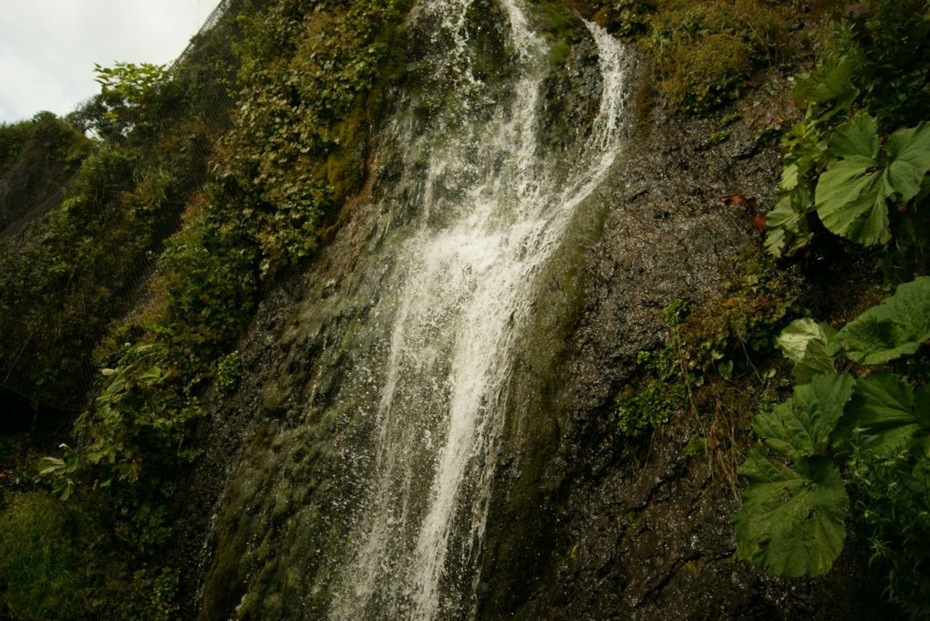 滝　リベンジ