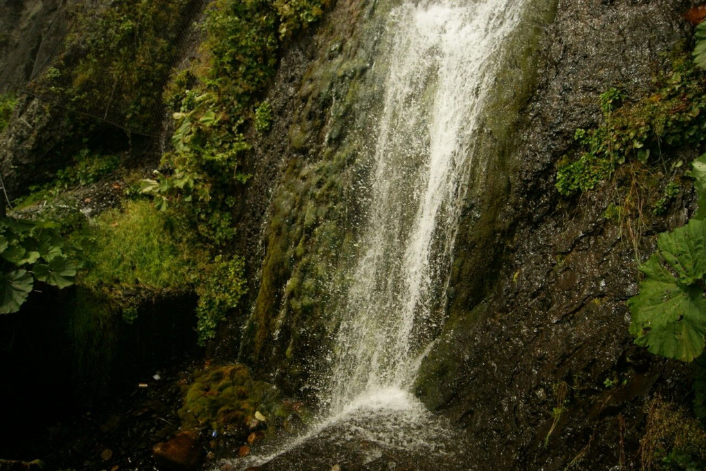 滝　リベンジ