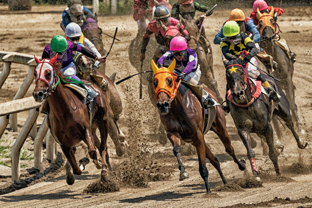 躍動地方競馬③