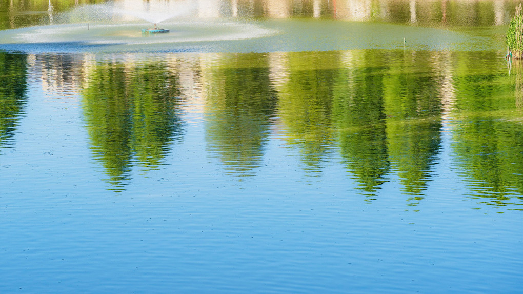 水辺の風景　春