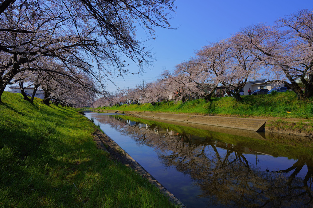 新境川