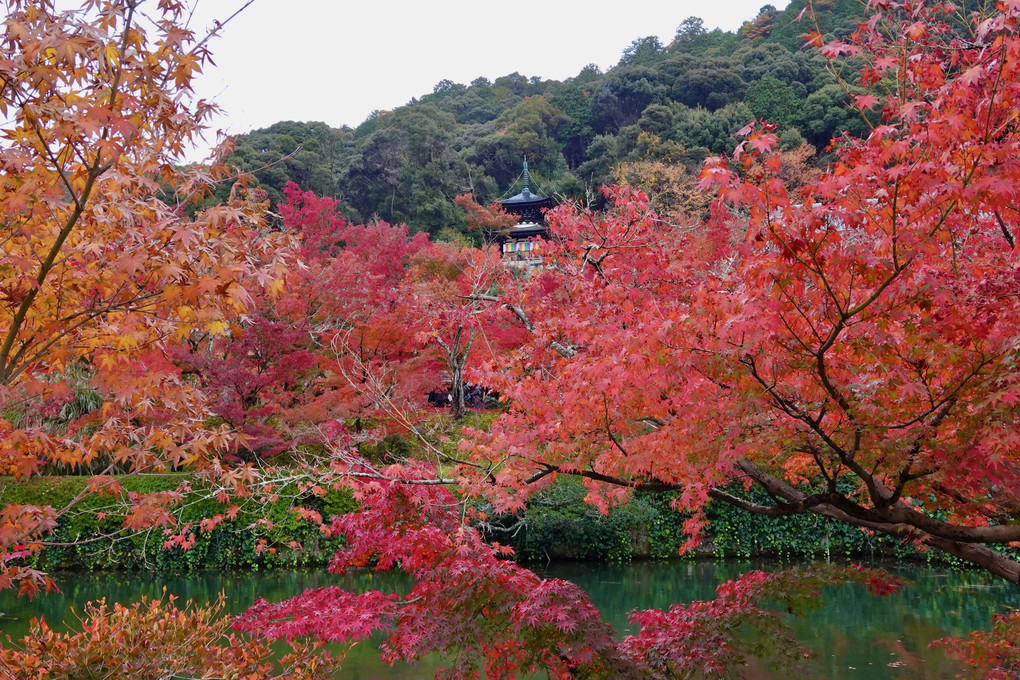 紅葉の京都