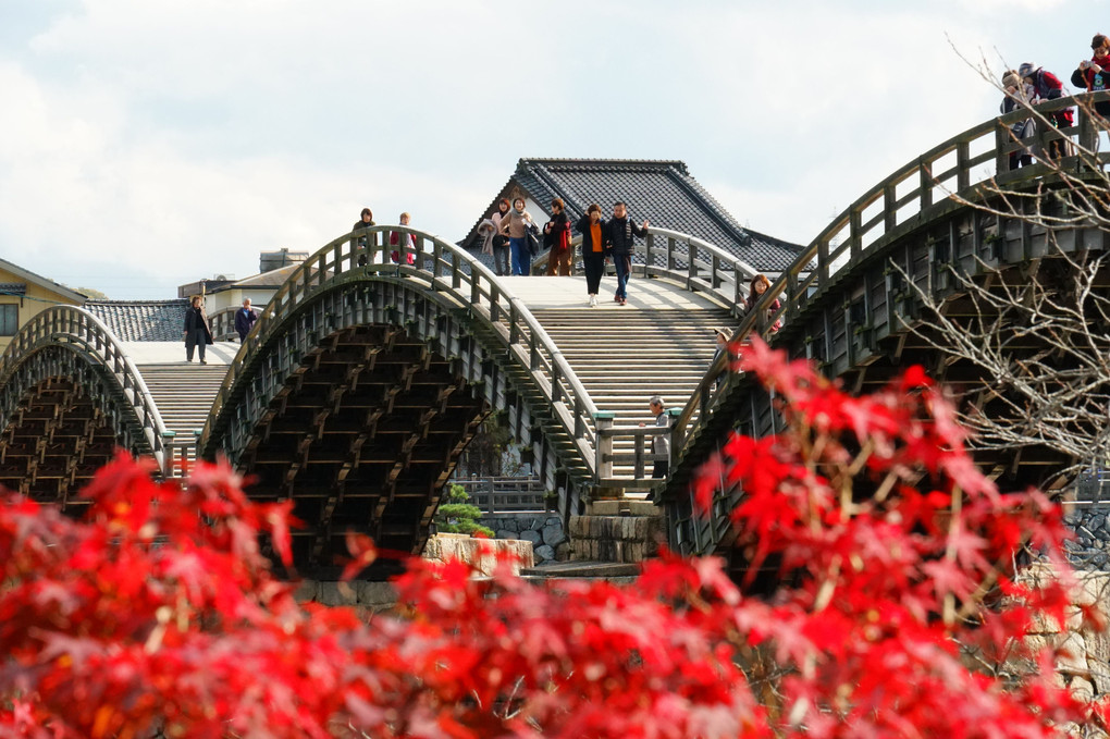 秋の錦帯橋