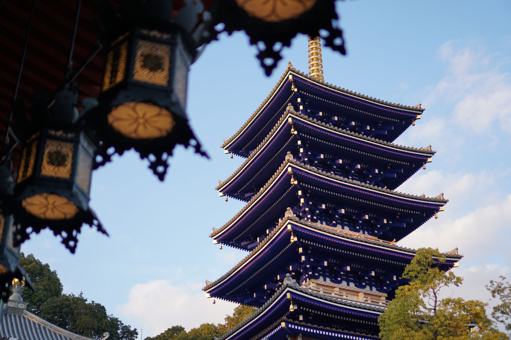 夕暮れの中山寺