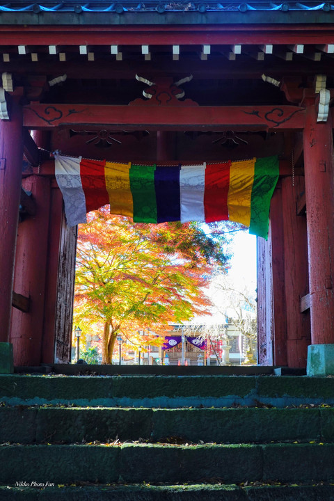 秋への門