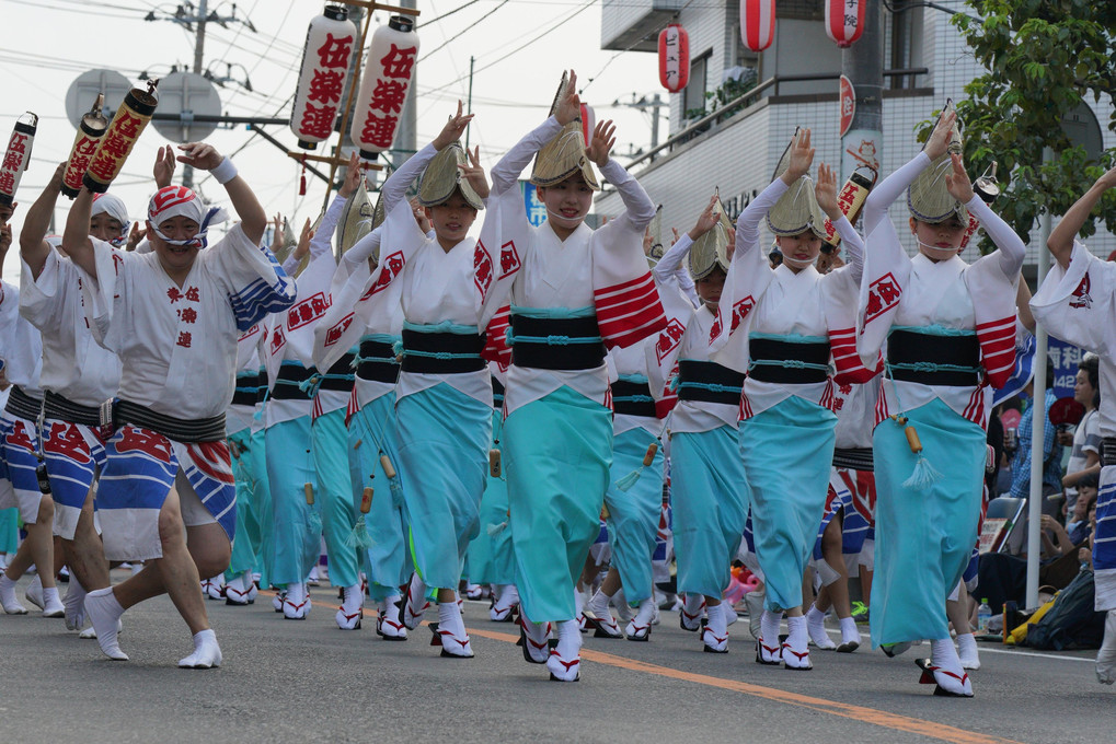 踊らにゃそんそん！