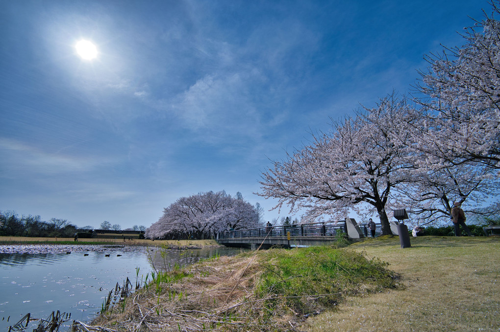 春の訪れ～2021富山～