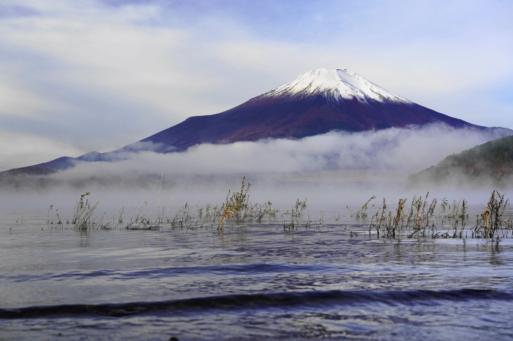 山中湖の朝