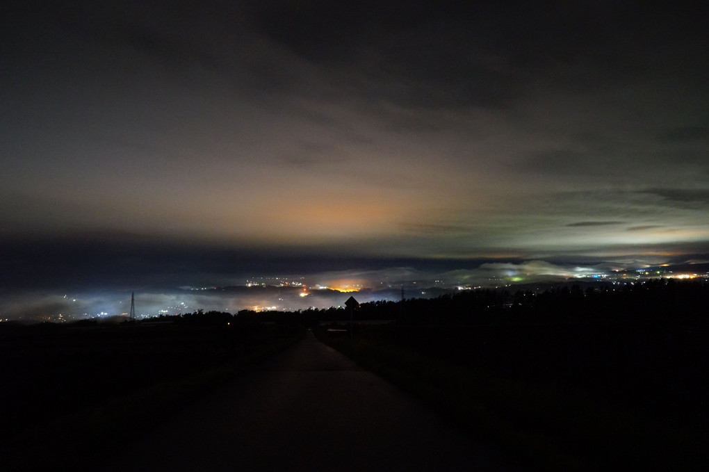 夜霧と街灯り